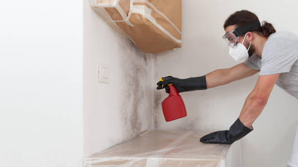 Professional Bathroom Mold Removal technician working in Monrovia, MD