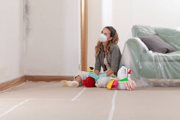 Reliable Bathroom Mold Removal contractor in Monrovia, MD by 24 Hour Mold Removal